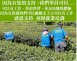 嶼見台灣 雙韻茶禮盒